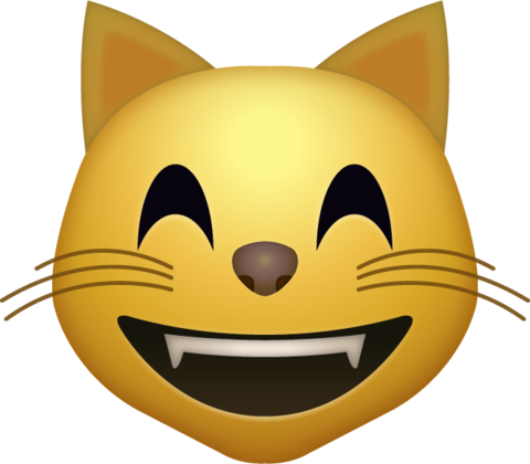 Happy Cat Emoji Icon - Cat Smiley Face Emoji (480x420)