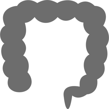 4 Feet Long - Large Intestine Png (352x351)