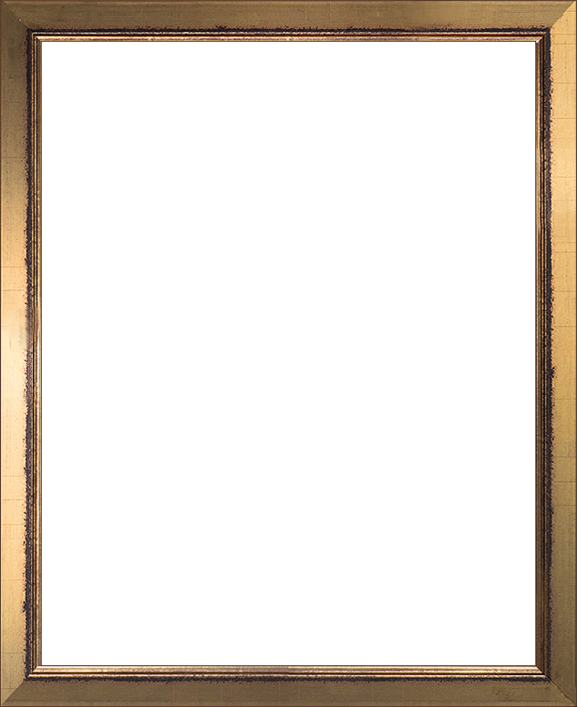 Burnished Gold Frame 16 Picture Frames - Picture Frame (816x1000)