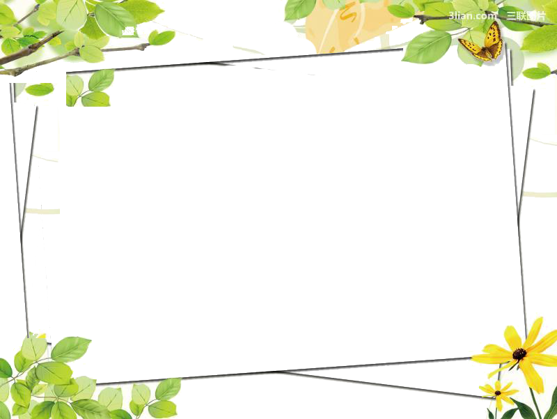 Green Google Images Color Clip Art - Green Flower Frame Png (800x601)