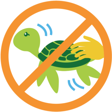 No Touching Marine Wildlife - Causes Of Lactose Intolerance (400x400)