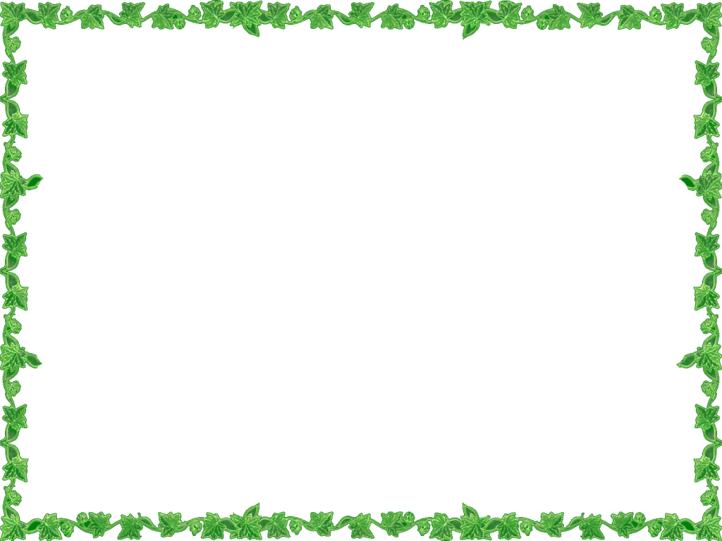 Green Transparent Frame Photo By Marathongman Photobucket - Christmas Tree Border Clip Art Free (1024x768)