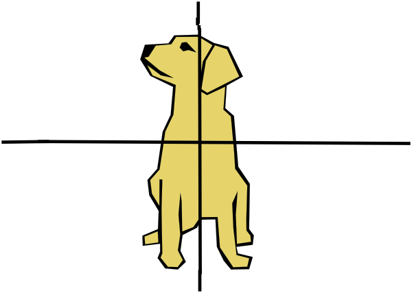 Custom Golden Retriever Throw Blanket (600x428)