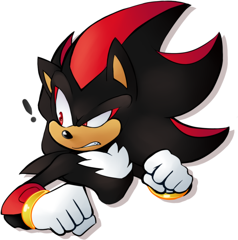 Edge The Hedge By Shanzehpoo - Hedgehog (894x894)