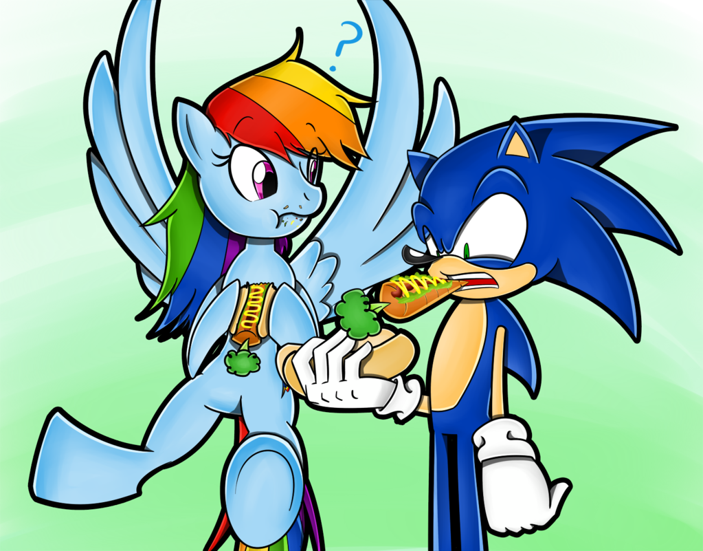 Sonic And Rainbow Dash Have A Baby For Kids - Sonic The Hedgehog Wings (1023x801)