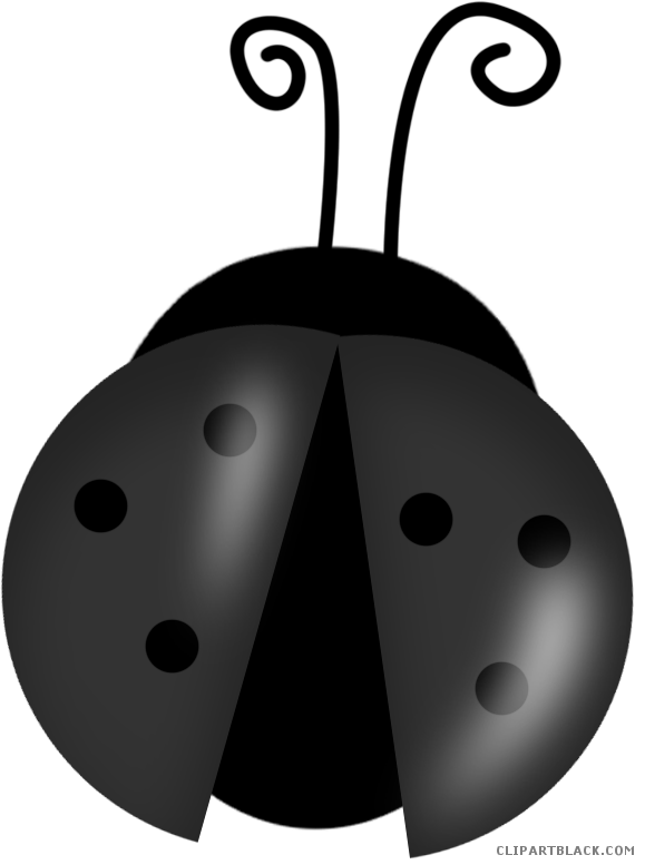 Cartoon Ladybug Animal Free Black White Clipart Images - Ladybug Clip Arts (579x777)