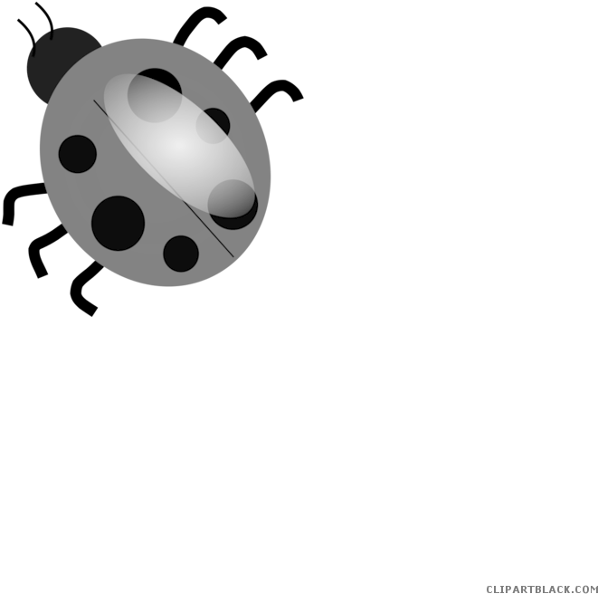 Cartoon Ladybug Animal Free Black White Clipart Images - Many Legs Does A Ladybug Have (700x700)