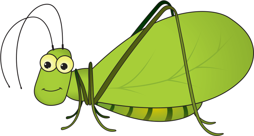 Kevin The Katydid - Grasshopper (869x520)