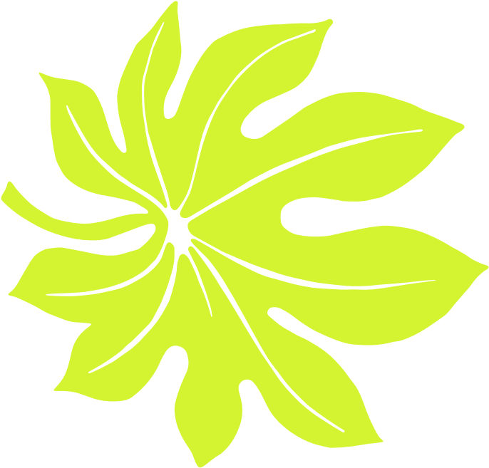A Bright Green Tropical Leaf - Green (704x678)
