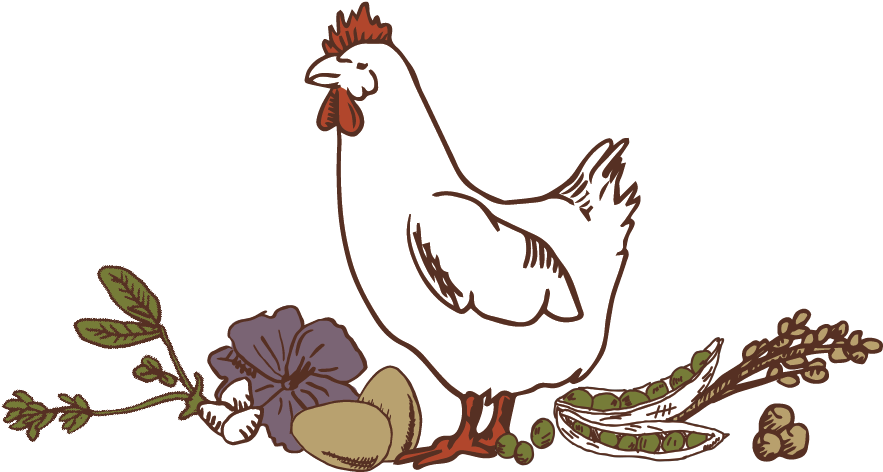 Simple - - Nutrition (1000x500)