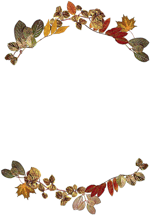 Autumn Scroll Cliparts 18, Buy Clip Art - Leaf Frame (509x720)