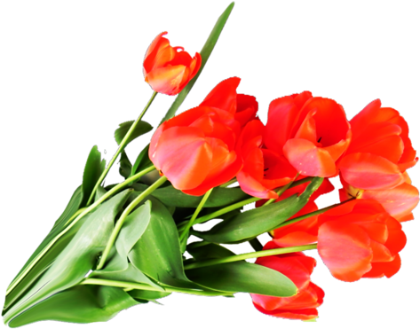 Bouquet Of Flowers Icon Clipart - Bouquet (500x409)