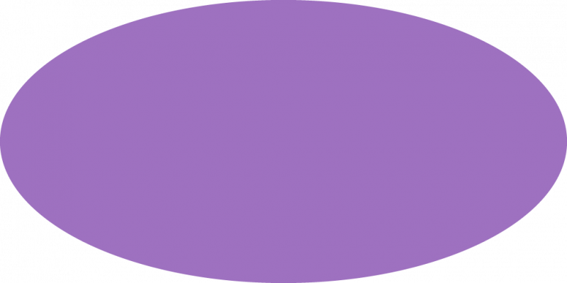 Best Photos Of Purple Oval Shape - Circle (800x400)