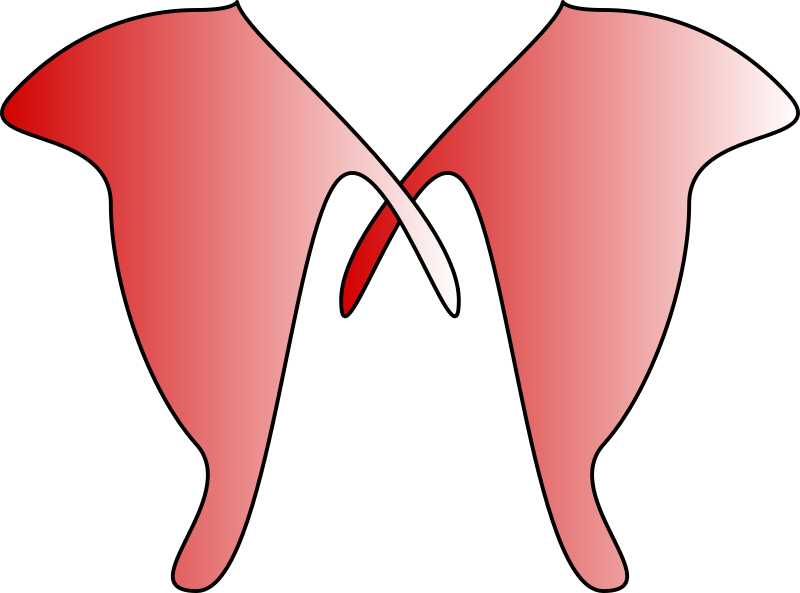 Free Vector Jewelery Corsage Clip Art - Clip Art (800x593)