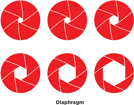 Opaque Structure With An Opening At Its Center - Diafragma Tattoo (600x387)