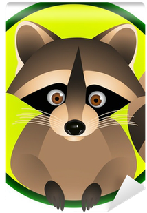 Raccoon Cartoon (400x400)