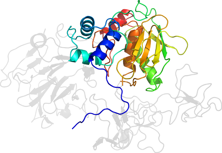 Human Behavior Organism Graphic Design Clip Art - Illustration (723x500)