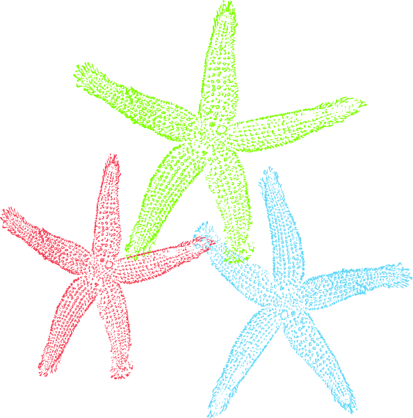 Free Set Of Three Colorful Starfish Clip Art - Starfish (594x601)