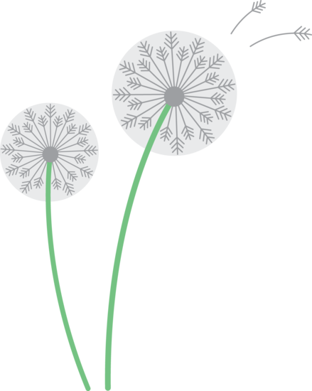 Surprising Design Dandelion Clipart Pretty Dandelions - Dandelion Flower Clip Art (439x550)