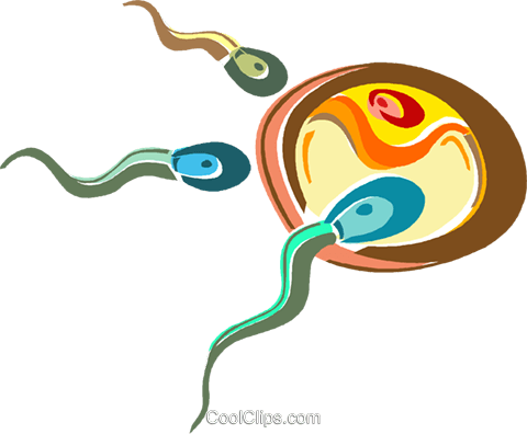 Egg And Sperm Clipart 3 By Victoria - Sperm And Egg Png (480x396)