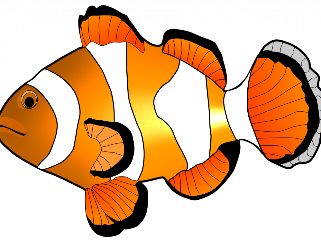Peaceful Design Ideas Clip Art Fish Clipart Free And - Fish Clipart (1024x768)