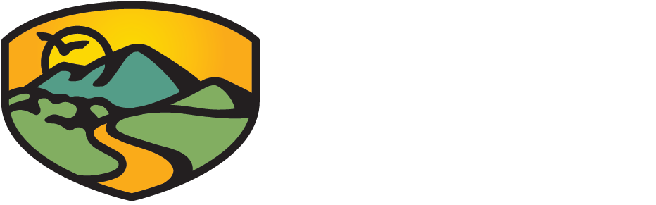 Logo - Indian Classical Music Instruments (933x306)