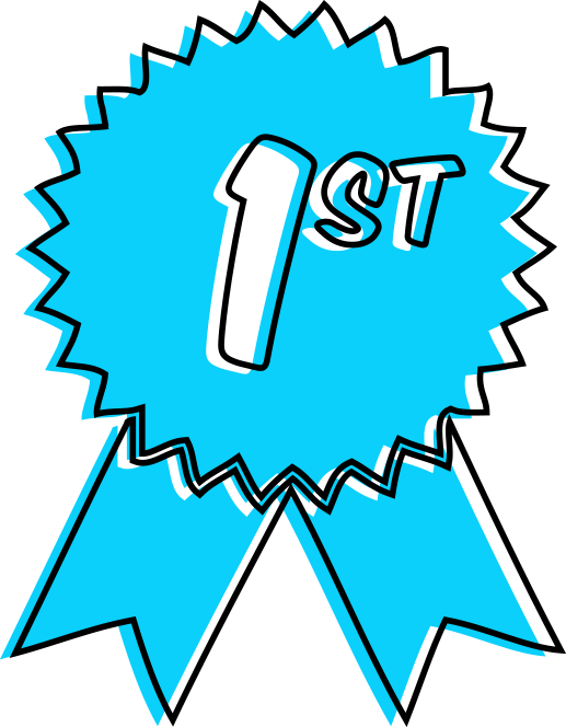 1st Place Prize - Icon (517x664)