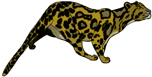 Small And Medium Sized Wild Cat Species In Laos Remain - Leopard (534x272)