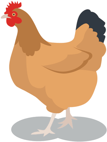 Gallina Animada Png (512x512)