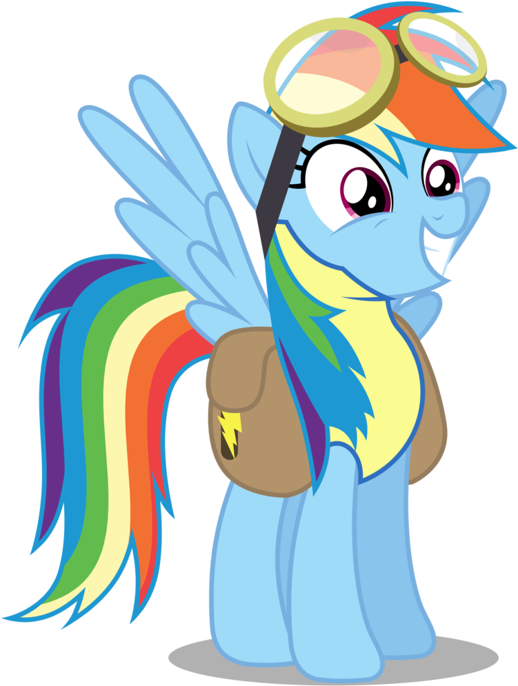 Brony-works, Clothes, Pony, Rainbow Dash, Saddle Bag, - My Little Pony: Friendship Is Magic Fandom (780x1024)