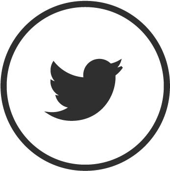 More About Us - Twitter Black Logo Icon (448x434)