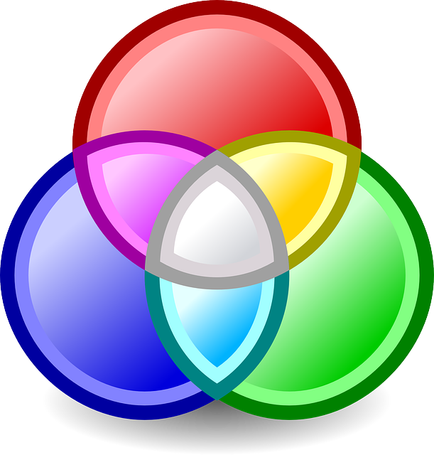 Maxim Baby, Red, Green, Blue, Yellow, Purple, Tango, - Diagrama De Venn Colores (611x640)