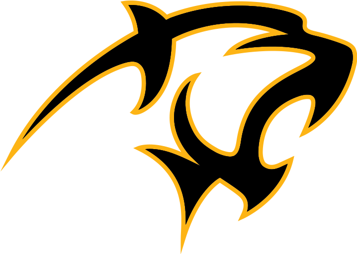 Panther Logo - Adelphi University Athletics (800x576)