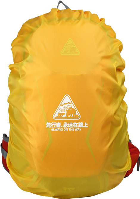 Water Resistant Backpack - Backpack (800x800)