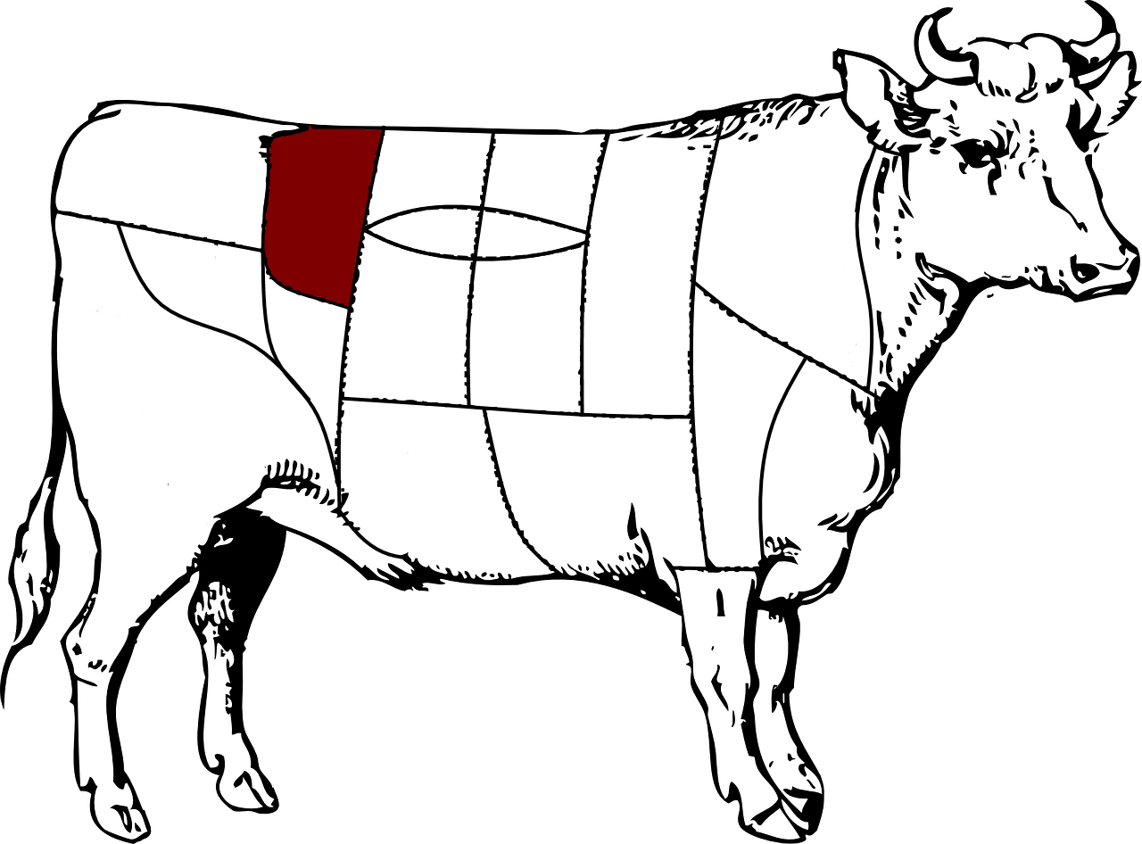 Steak Cuts, Wo Kommen Diese Eigentlich Her Wir Zeigen - Left Displaced Abomasum Cow (1280x946)