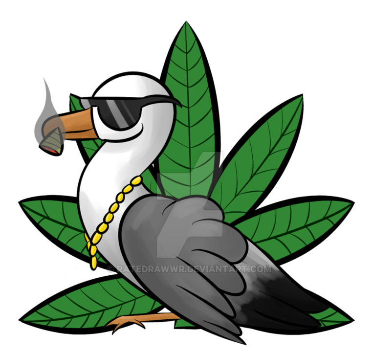 Thug Life Bird By Ratedrawwr - Duck (894x894)