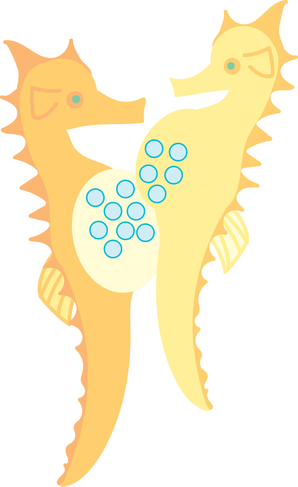 Seahorse Pregnant - Seahorse (1000x1629)