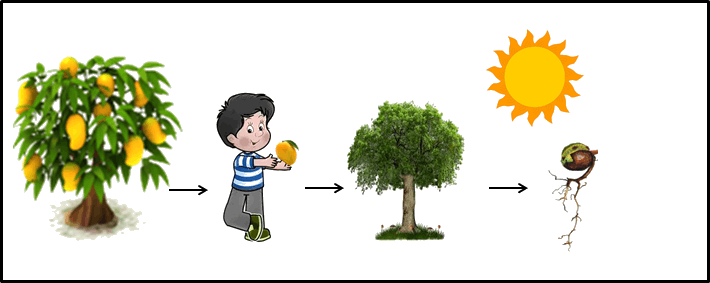 The Plant Humans Eat Parts Of The Plant To Get Energy - Energy (710x283)