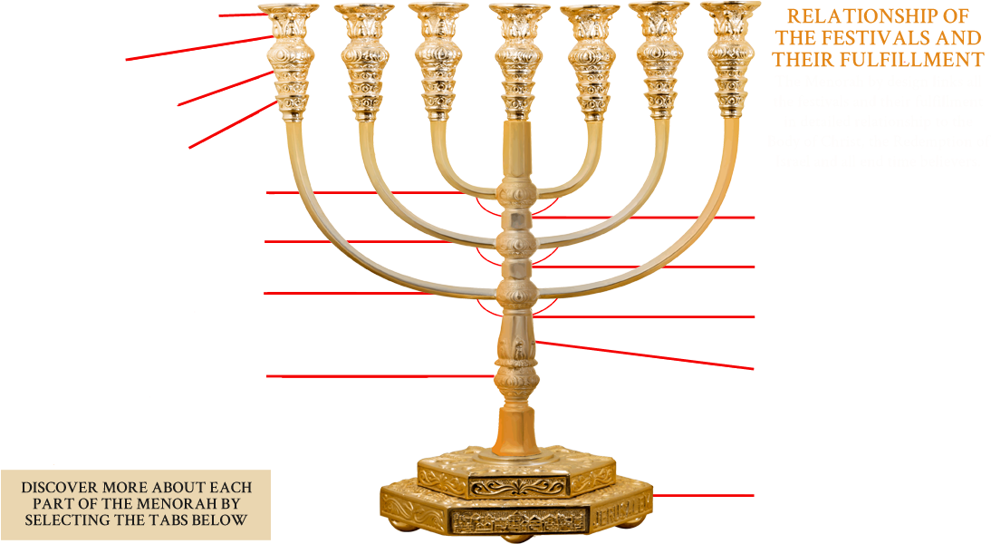 The Tree Of Life - Hanukkah (1098x650)