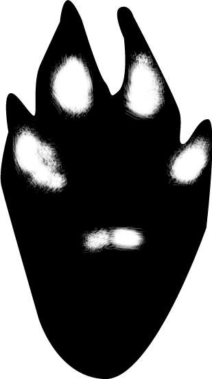 Hind Track - Hare (309x553)