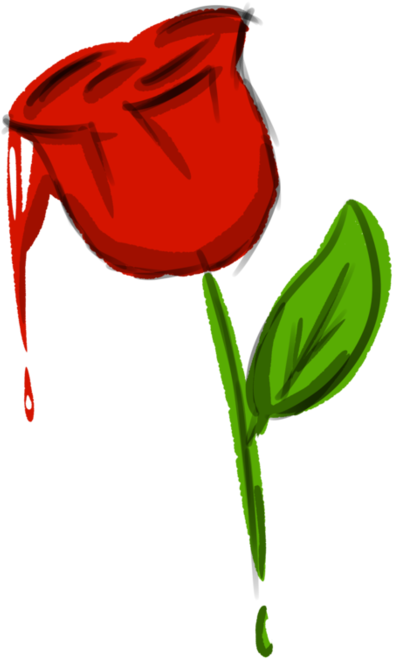 Rose By Mrdargeu - Garden Roses (894x894)
