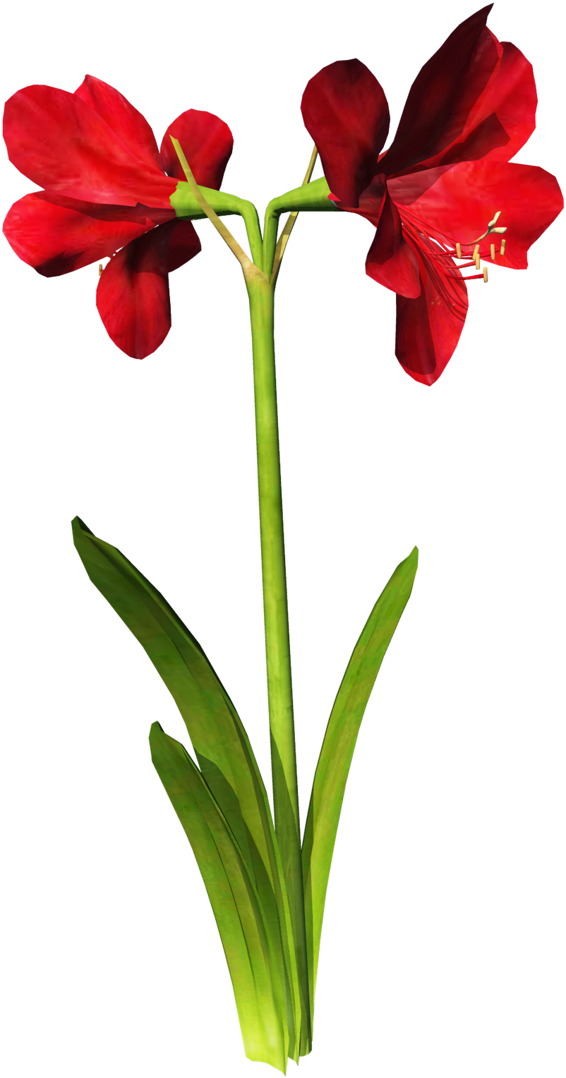 Posted By Todd A At - Flower (1199x1600)