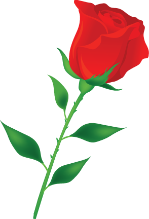 سكرايز وارد احمر ناعم 3dlat - Rosa Flor Dibujo Animado - (294x432) Png  Clipart Download