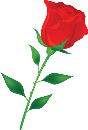 سكرايز وارد احمر ناعم 3dlat - Rosa Flor Dibujo Animado - (294x432) Png Clipart Download سكرايز وارد احمر ناعم 3dlat - Rosa Flor Dibujo Animado - (294x432) Png Clipart Download