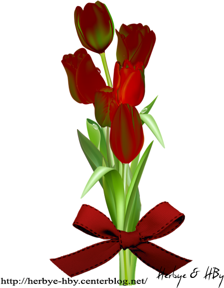 Partager - - Sprenger's Tulip (472x591)