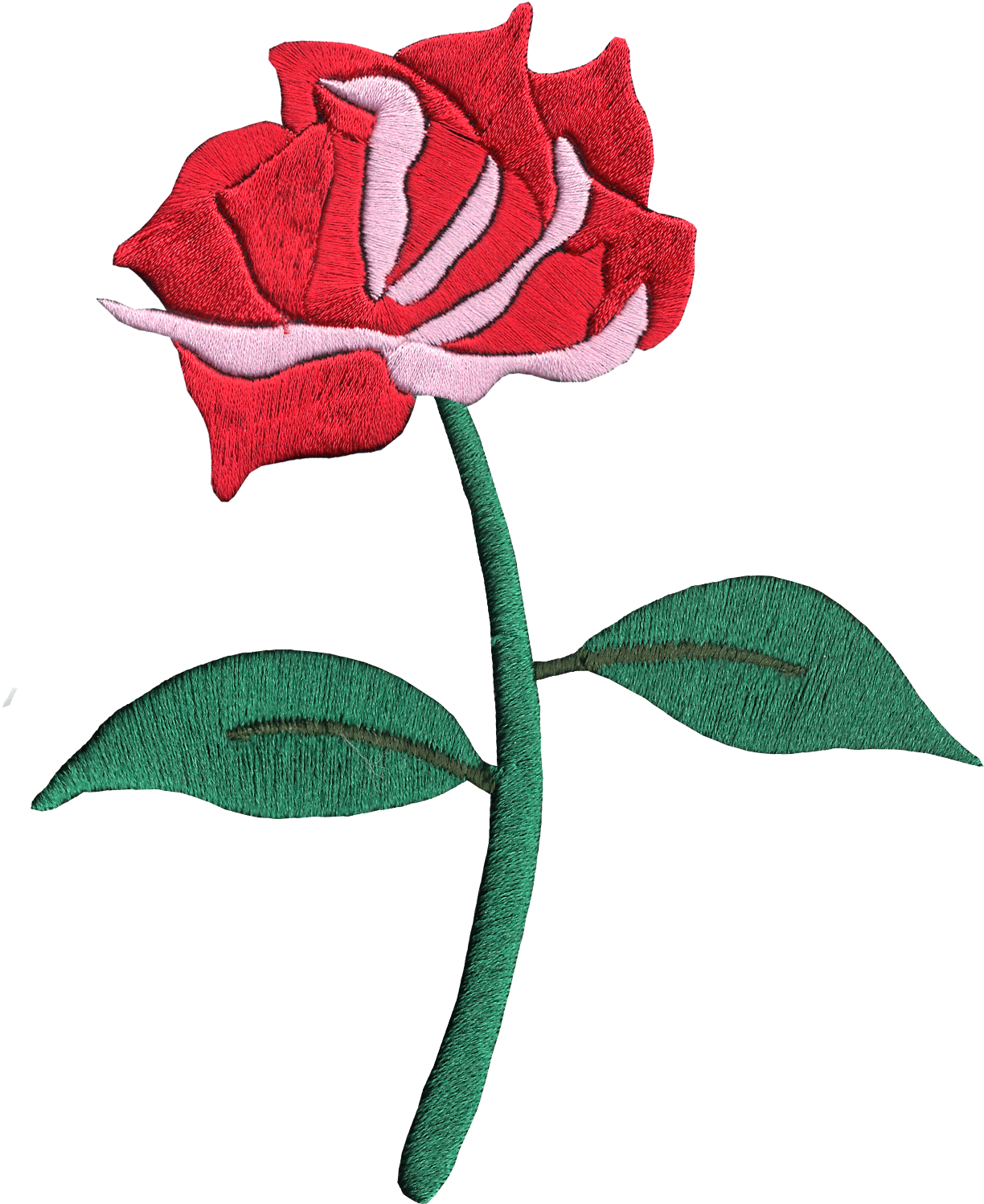 Hybrid Tea Rose (1600x1600)