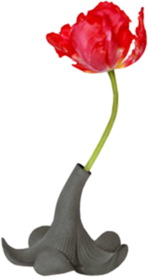 Fleurs Dans Vase - Goods Bloom Vaas Zwart Design Scholten En Baijings (500x933)