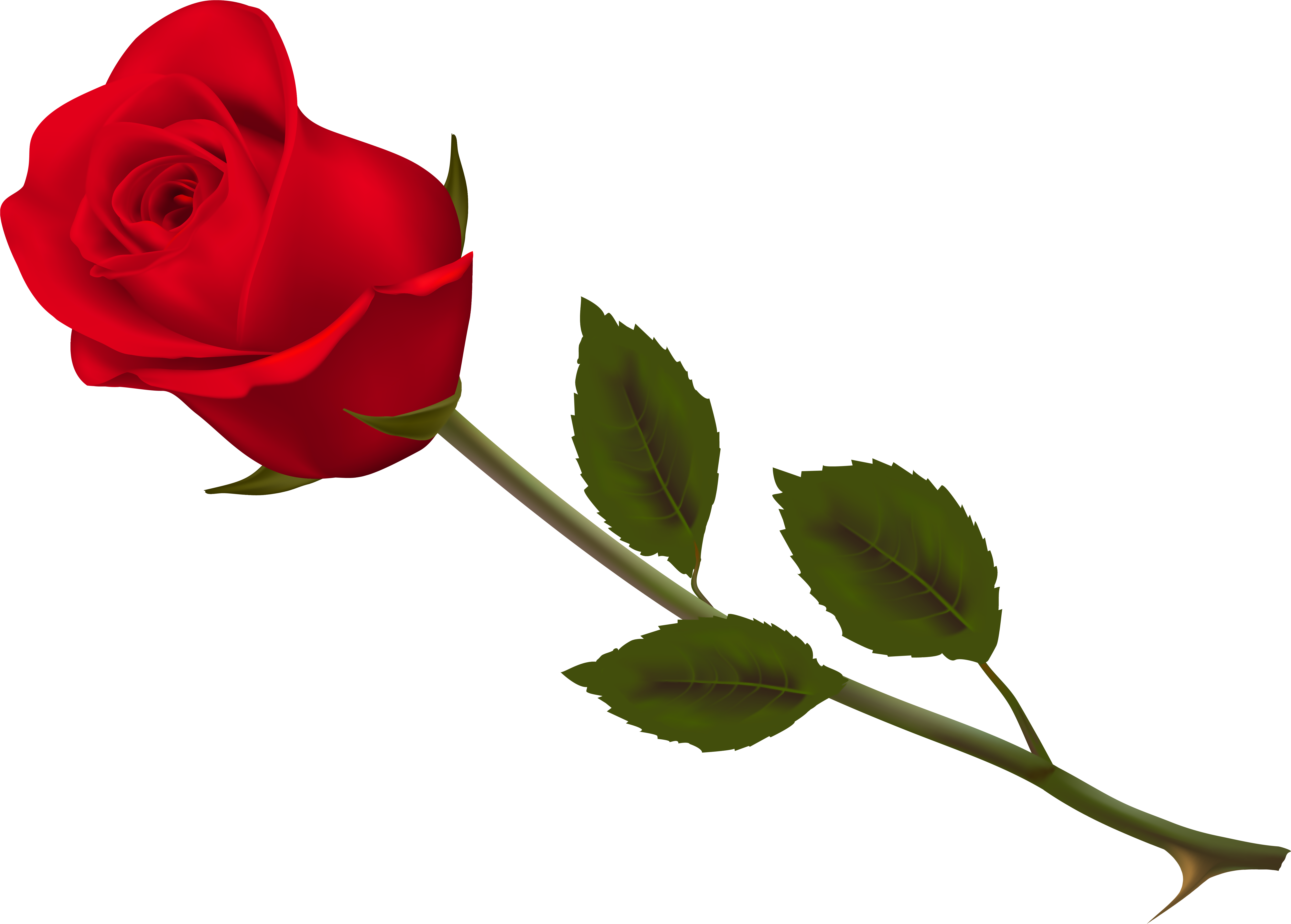 Mit Blumen Danke Rosen-blume Postkarte (6889x5043)