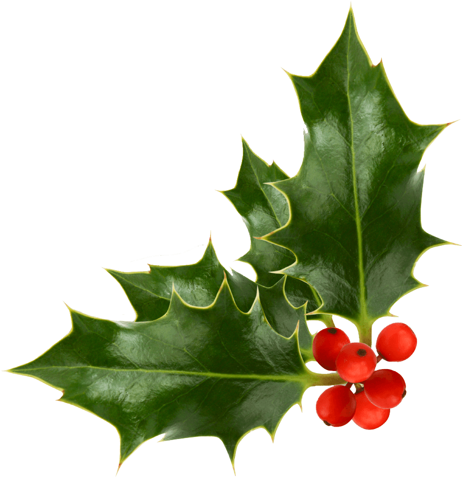 Christmas Holly Pictures 1 1 Christmas Holly Pictures - Snowflake Earrings Silver Plated Studs (925x974)