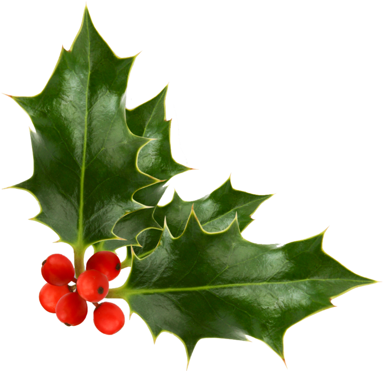 Snowflake Earrings Silver Plated Studs (784x745)